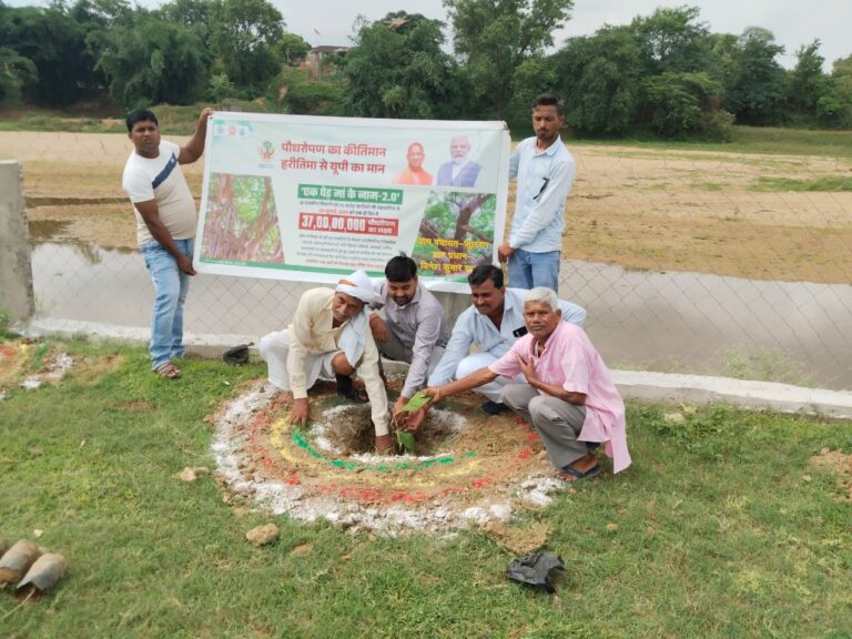 एक पेड़ मां के नाम चेयरमैन दुद्धी, भाजपा प्रदेश कार्यकारिणी सदस्य, मंडल संयोजक व प्रधान संघ अध्यक्ष आदि ने गांव गांव पौधा रोपण किया।