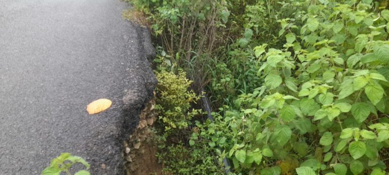 सड़क किनारे गड्ढा दुर्घटना को दे रहा दावत.