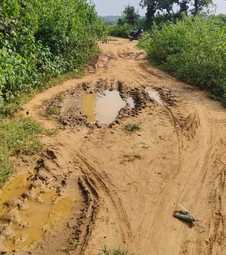नौडीहा ग्राम पंचायत में सड़क की हालत जर्जर, ग्रामीण परेशान.
