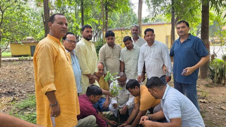 भाजपा जिला अध्यक्ष नन्दलाल गुप्ता ने अंत्योदय के प्रणेतापंडित दीनदयाल उपाध्याय के जयंती पर दुद्धी में वृक्षारोपण किया.