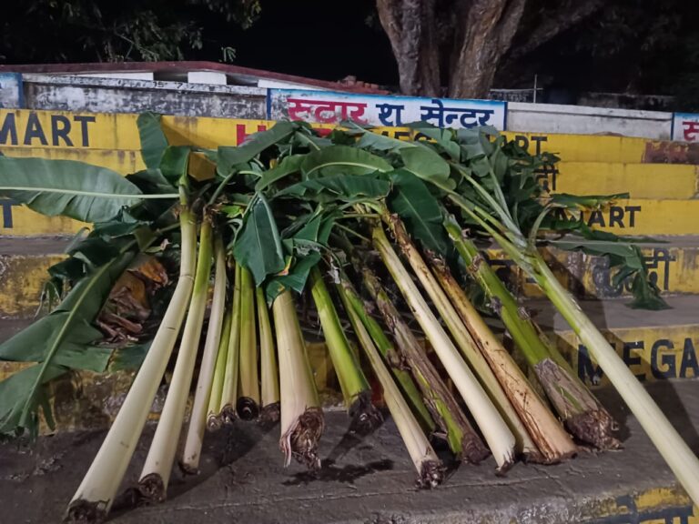 रामलीला खेल मैदान दुद्धी पर गोवर्धन पूजा आज, कलश यात्रा के साथ पूजन कार्यक्रम शुरू।