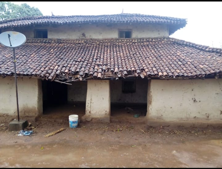 बंदरों के आतंक से ग्रामीण एवं किसान हुए परेशान.