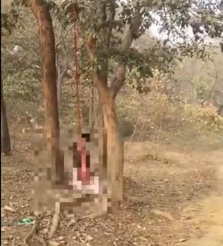 पेड़ से लटकता मिला अधेड़ महिला का शव, क्षेत्र में फैली सनसनी